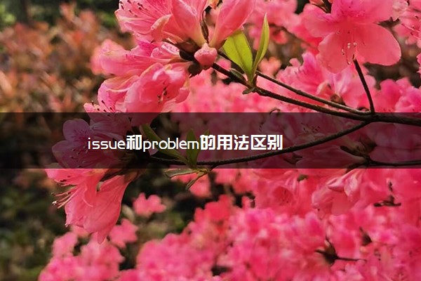 issue和problem的用法区别