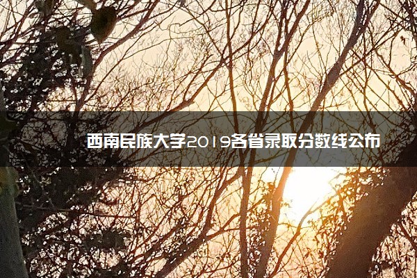 西南民族大学2019各省录取分数线公布