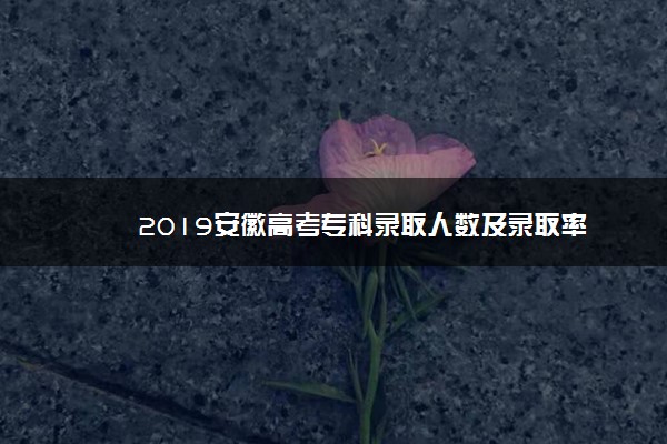 2019安徽高考专科录取人数及录取率