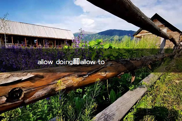 allow doing和allow to do的区别