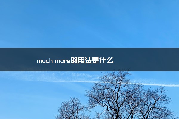 much more的用法是什么