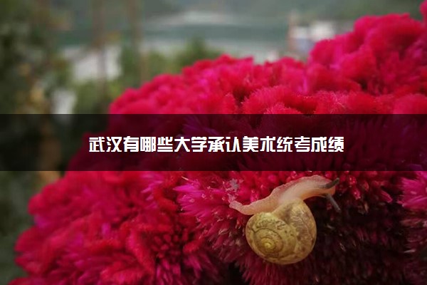 武汉有哪些大学承认美术统考成绩