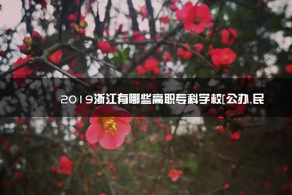 2019浙江有哪些高职专科学校[公办，民办]