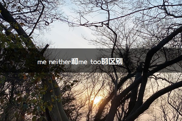 me neither和me too的区别是什么