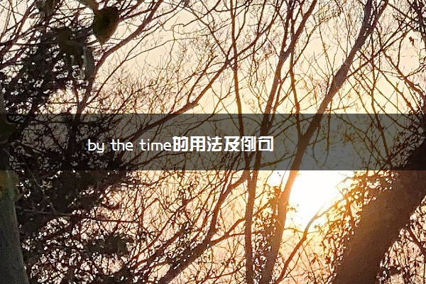 by the time的用法及例句