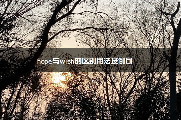 hope与wish的区别用法及例句