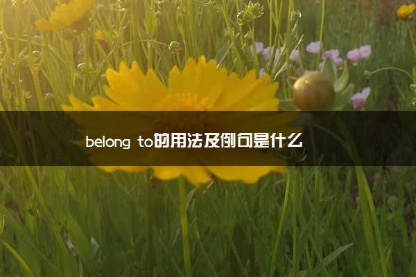 belong to的用法及例句是什么