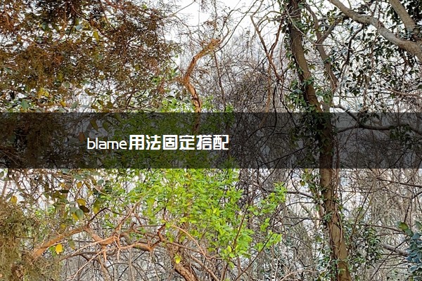 blame用法固定搭配