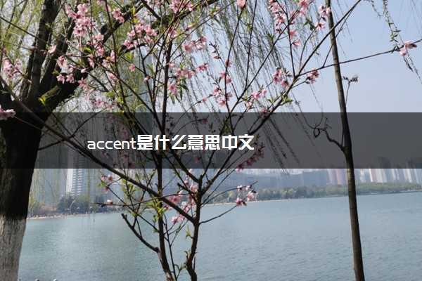 accent是什么意思中文