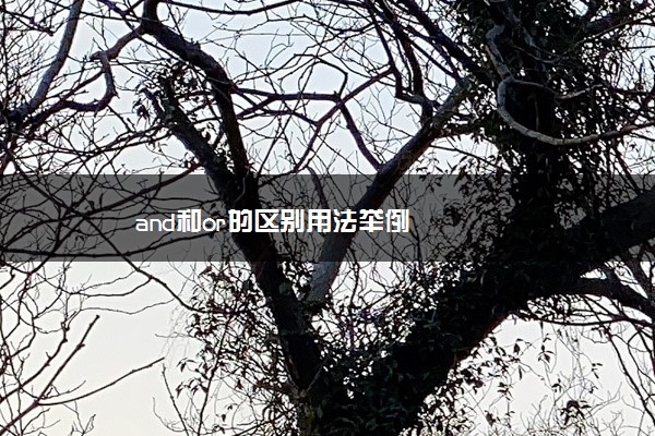 and和or的区别用法举例