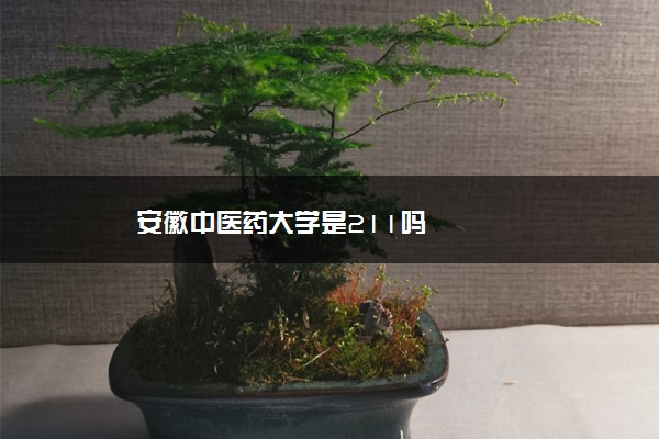 安徽中医药大学是211吗