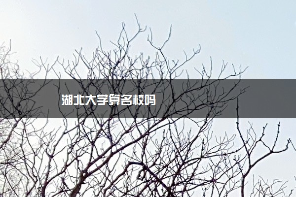 湖北大学算名校吗