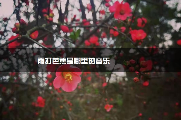 雨打芭蕉是哪里的音乐