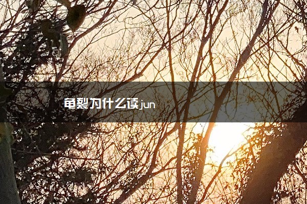 龟裂为什么读jun