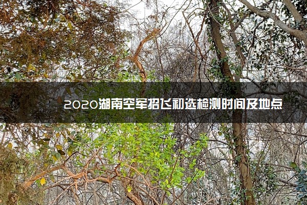 2020湖南空军招飞初选检测时间及地点