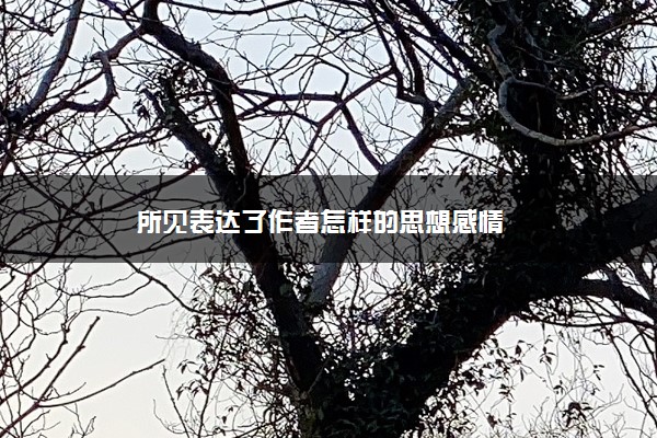 所见表达了作者怎样的思想感情