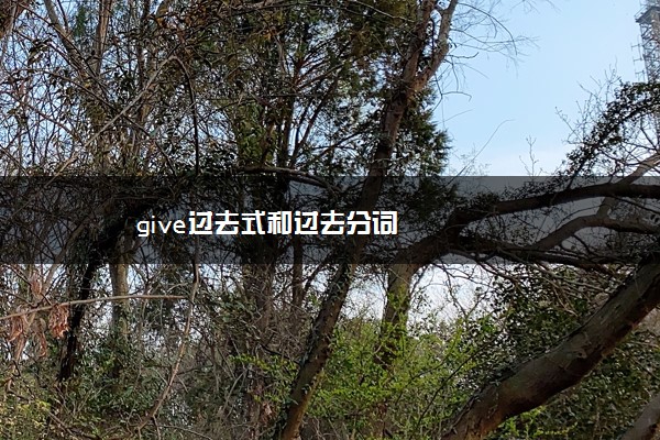 give过去式和过去分词