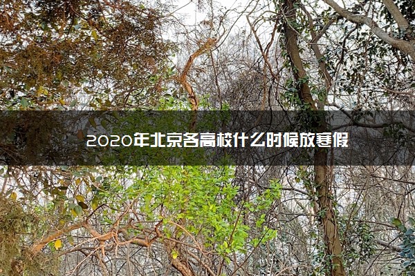 2020年北京各高校什么时候放寒假