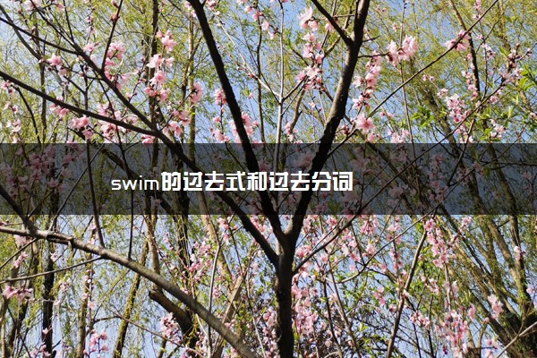 swim的过去式和过去分词