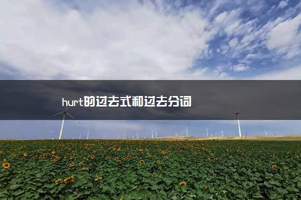 hurt的过去式和过去分词