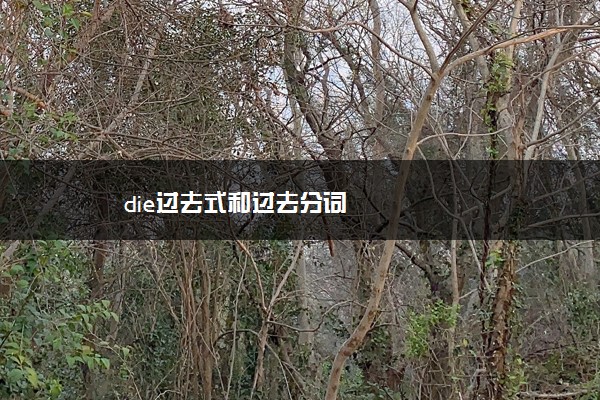 die过去式和过去分词