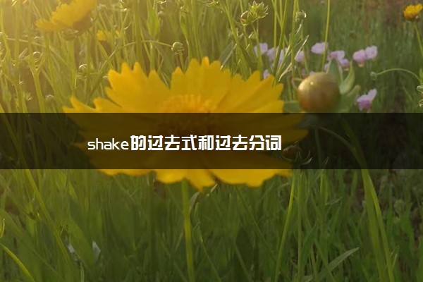 shake的过去式和过去分词