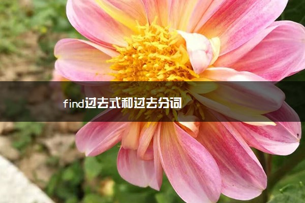 find过去式和过去分词