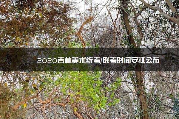 2020吉林美术统考/联考时间安排公布