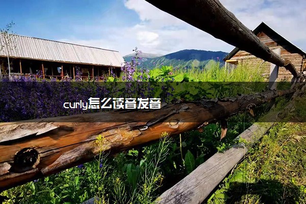 curly怎么读音发音