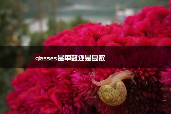 glasses是单数还是复数