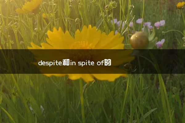 despite和in spite of的区别