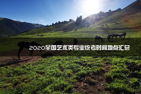 2020全国艺术类专业统考时间地点汇总