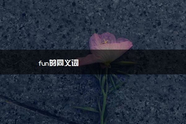 fun的同义词