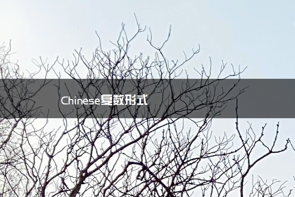 Chinese复数形式