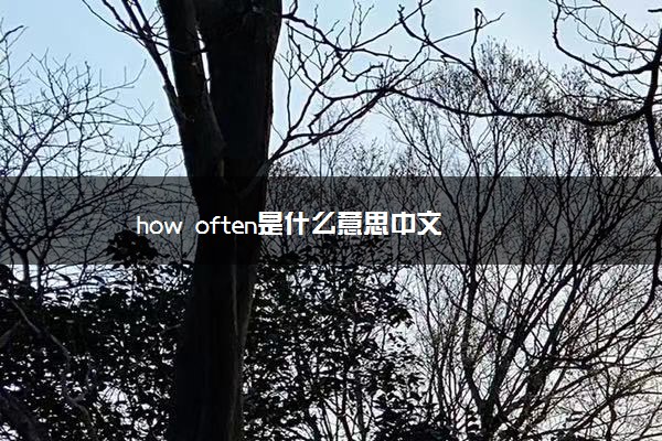 how often是什么意思中文