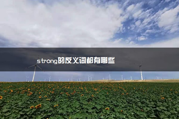 strong的反义词都有哪些