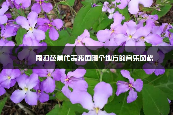 雨打芭蕉代表我国哪个地方的音乐风格