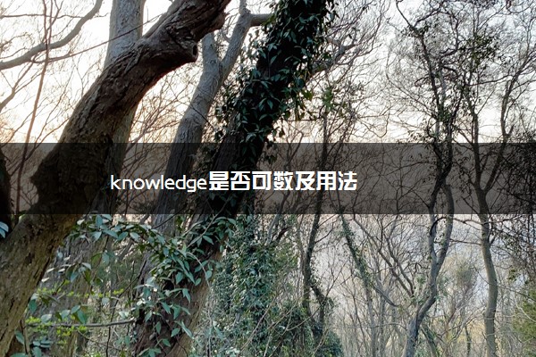 knowledge是否可数及用法