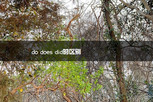 do does did的区别