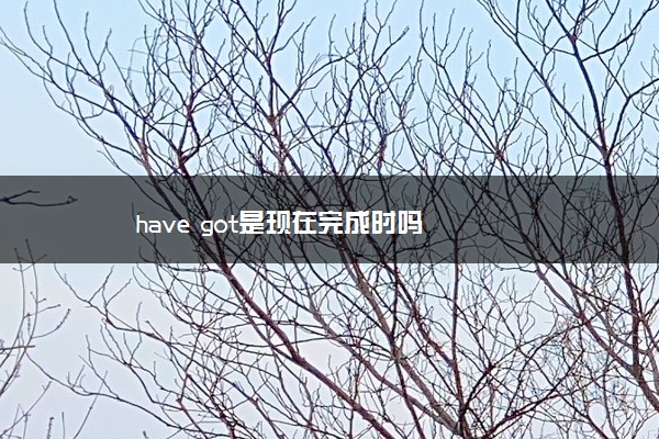 have got是现在完成时吗