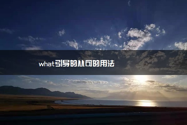 what引导的从句的用法