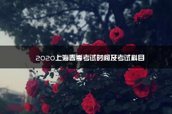 2020上海春季考试时间及考试科目