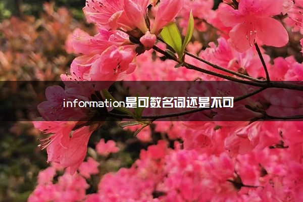 information是可数名词还是不可数名词