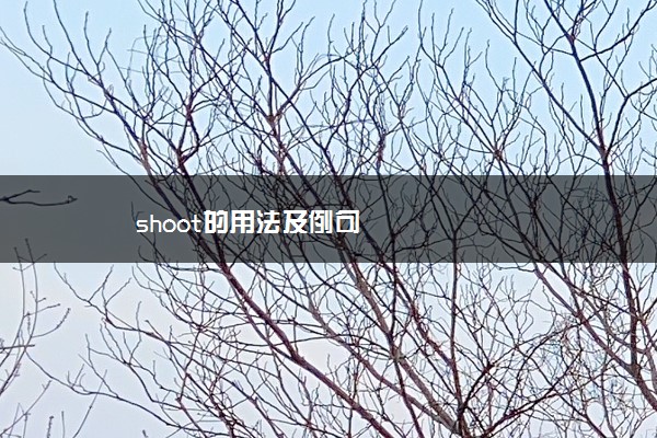 shoot的用法及例句