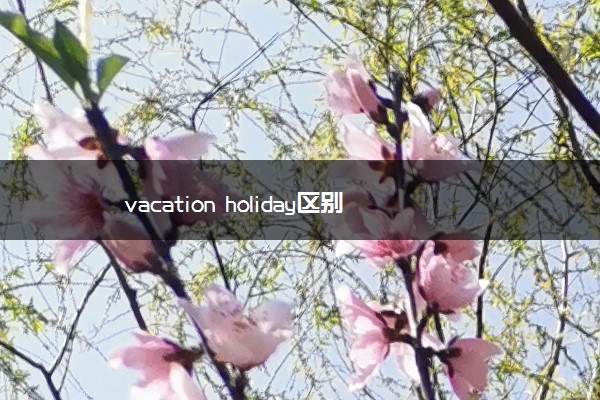 vacation holiday区别