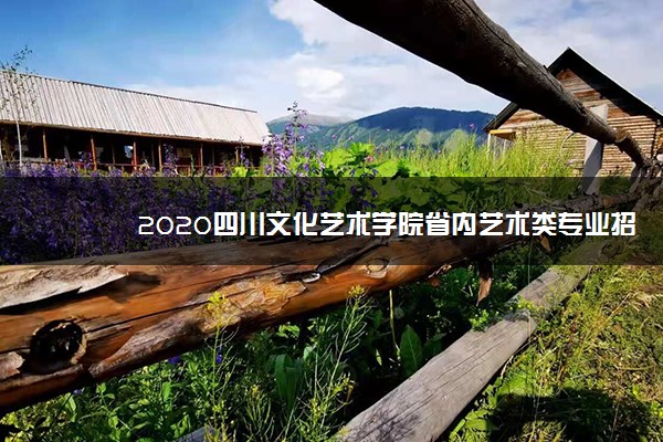 2020四川文化艺术学院省内艺术类专业招生简章