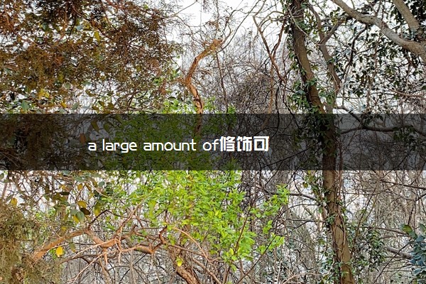 a large amount of修饰可数还是不可数