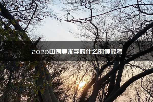 2020中国美术学院什么时候校考