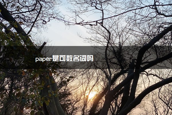 paper是可数名词吗