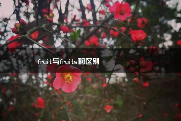 fruit与fruits的区别